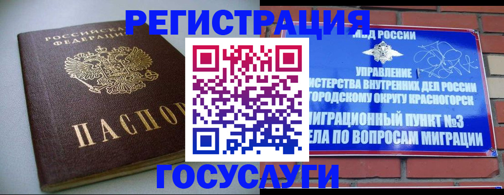 временная прописка в Новосибирской области